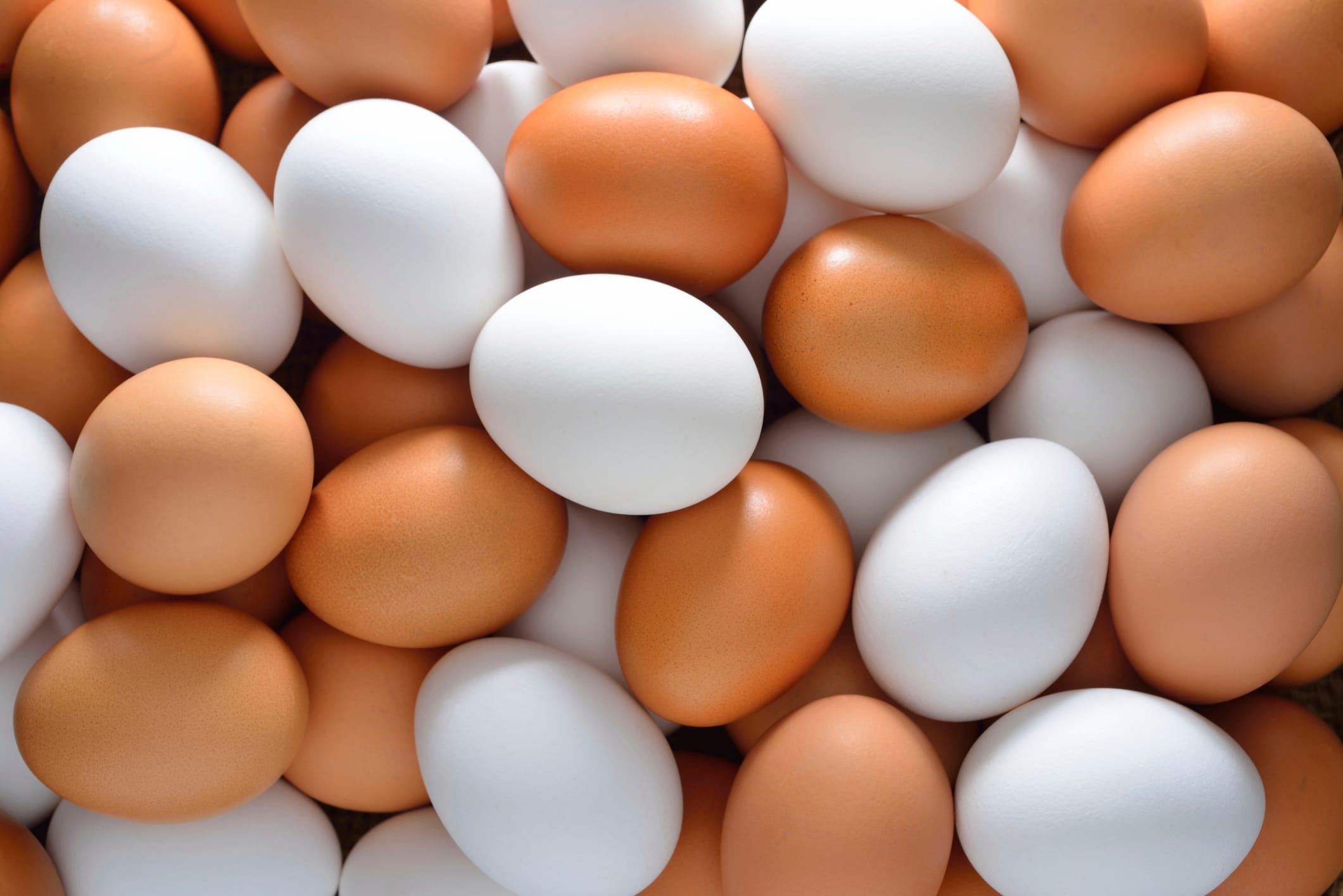 egg benefits