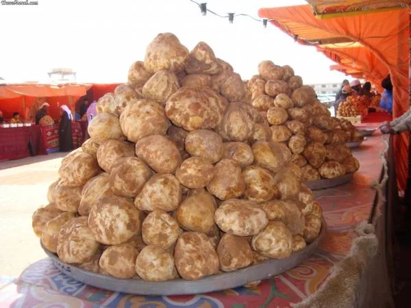 فوائد الترفاس