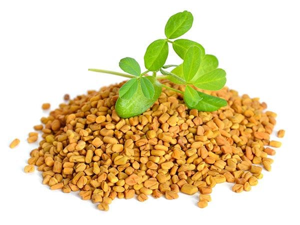 فوائد الحلبة للرجال
